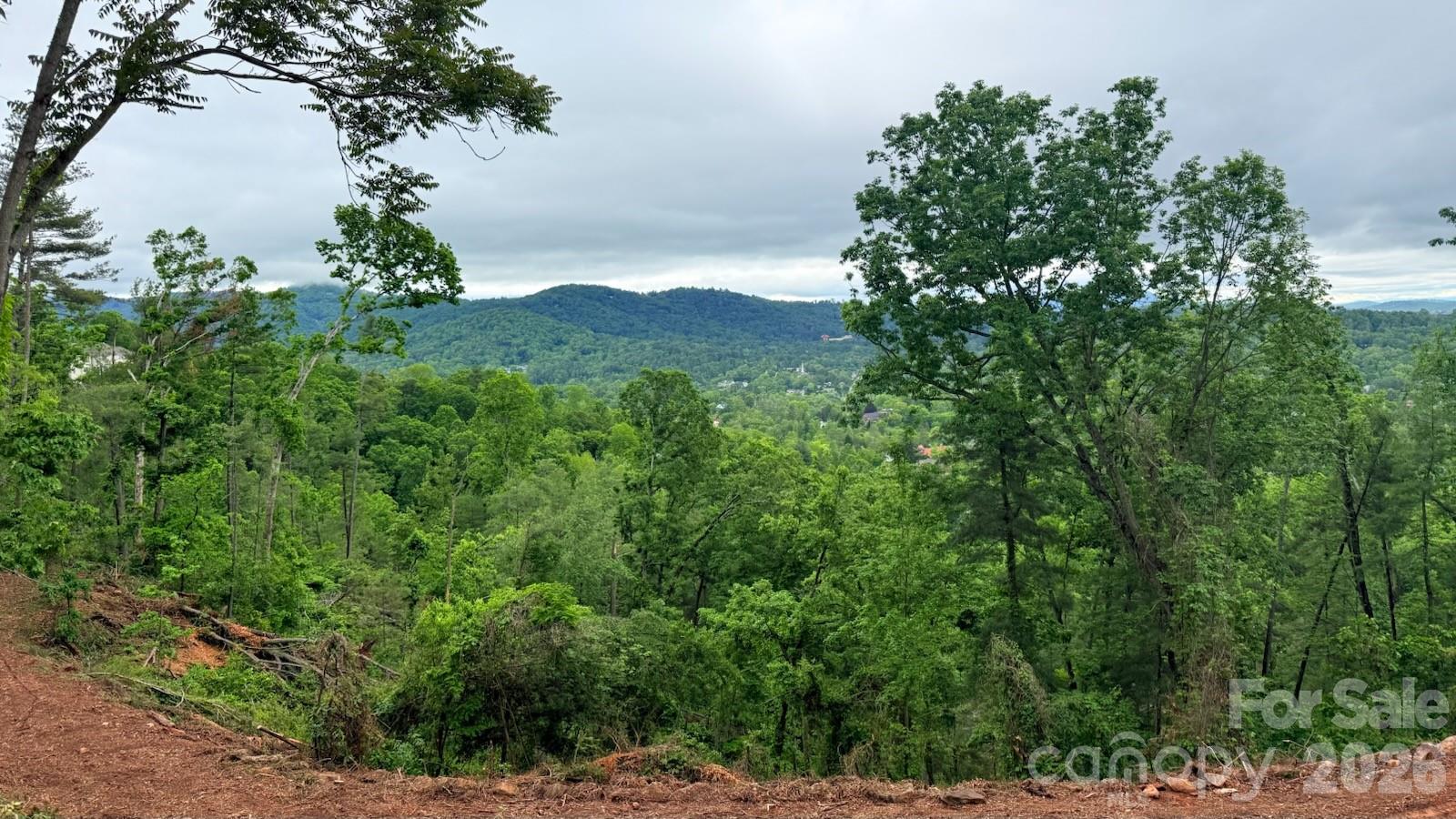 175 Senator Reynolds Road Asheville NC 28804