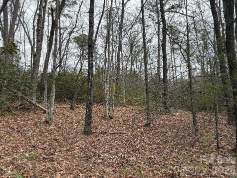 Lot 106 Ravenswood Drive Marion NC 28752