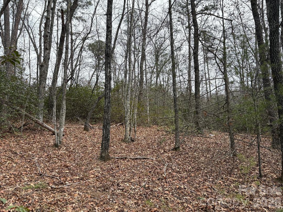 Lot 106 Ravenswood Drive Marion NC 28752
