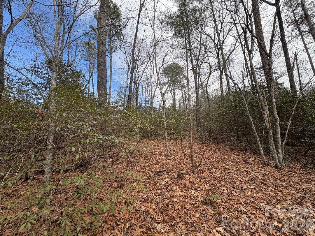 Lot 106 Ravenswood Drive Marion NC 28752