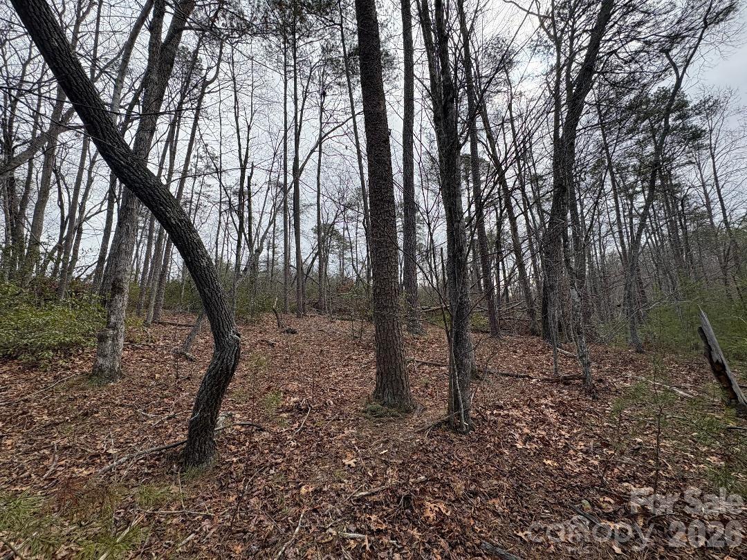 Lot 106 Ravenswood Drive Marion NC 28752
