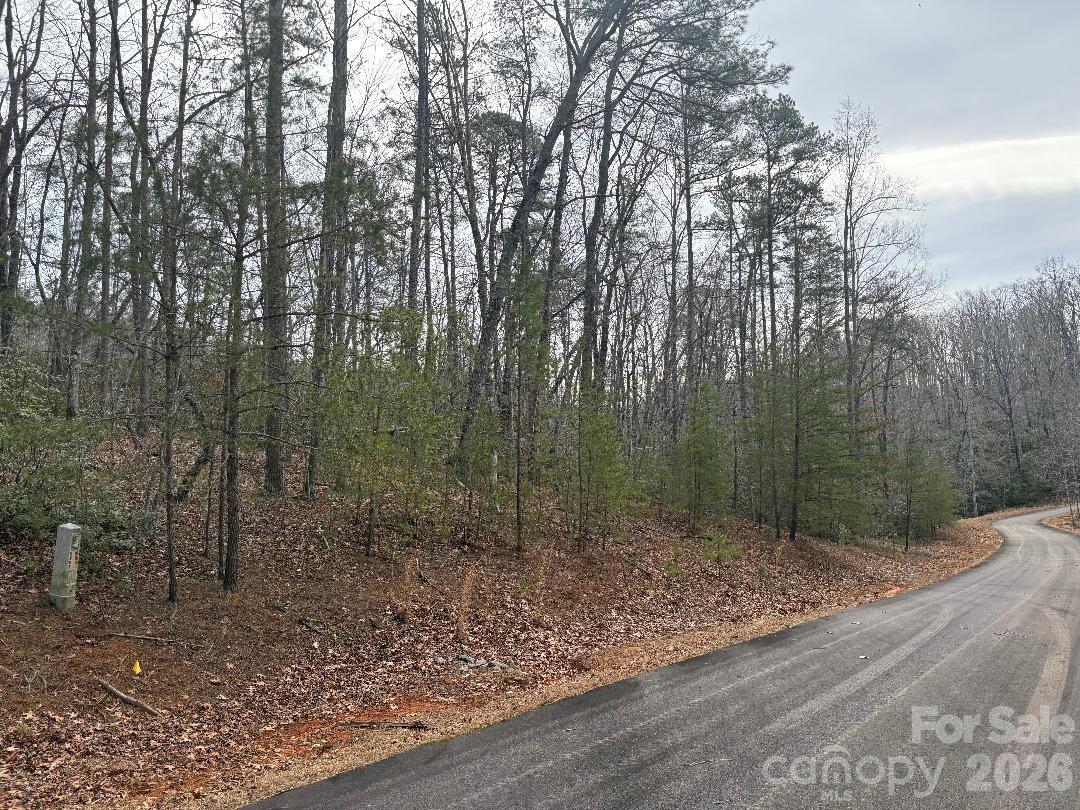 Lot 106 Ravenswood Drive Marion NC 28752