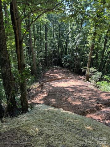 97 Hosta Drive Sylva NC 28779