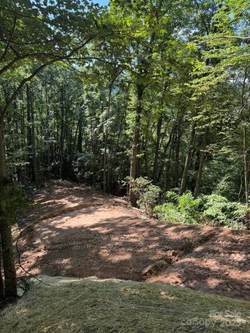 97 Hosta Drive Sylva NC 28779