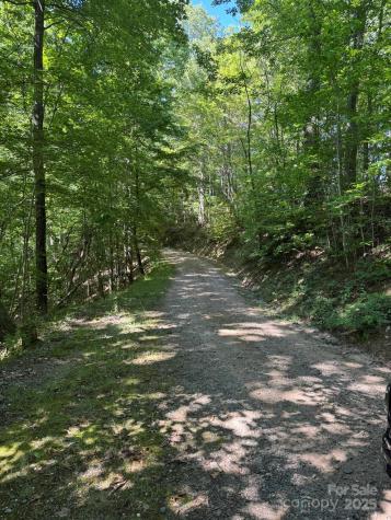 97 Hosta Drive Sylva NC 28779