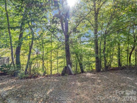 6 Whitman Lane Black Mountain NC 28711