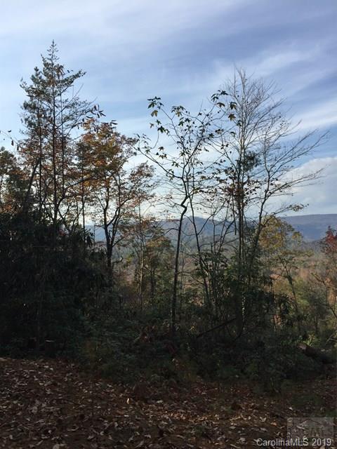 1169 West Side Trail Nebo NC 28761