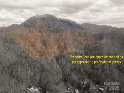 ### Grapevine Road Marshall NC 28753