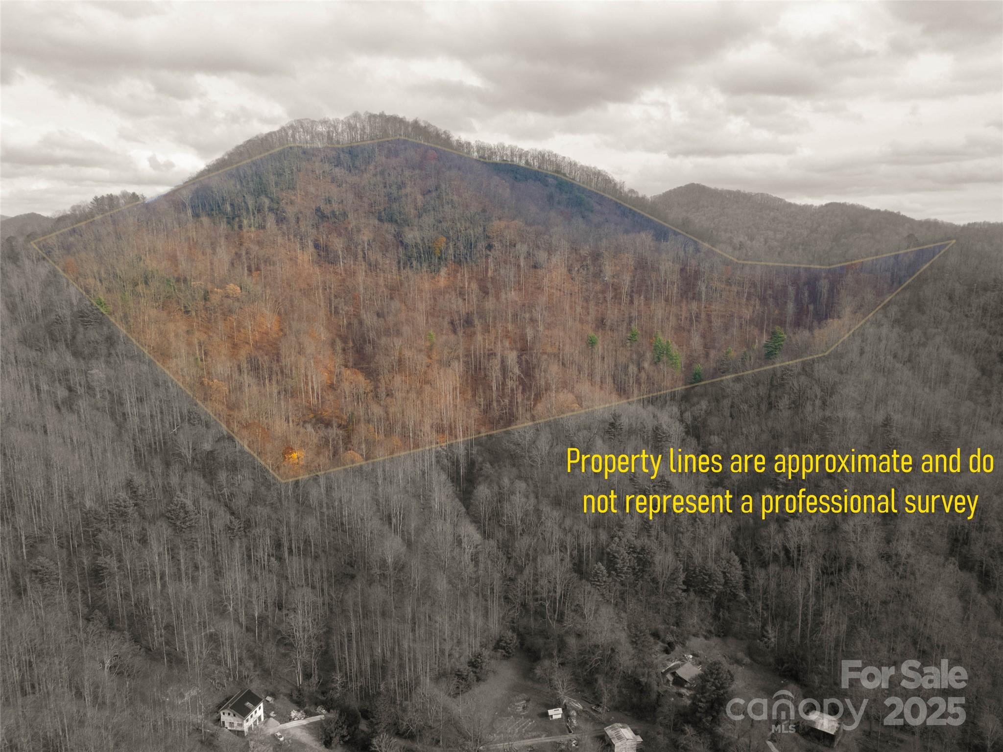 ### Grapevine Road Marshall NC 28753