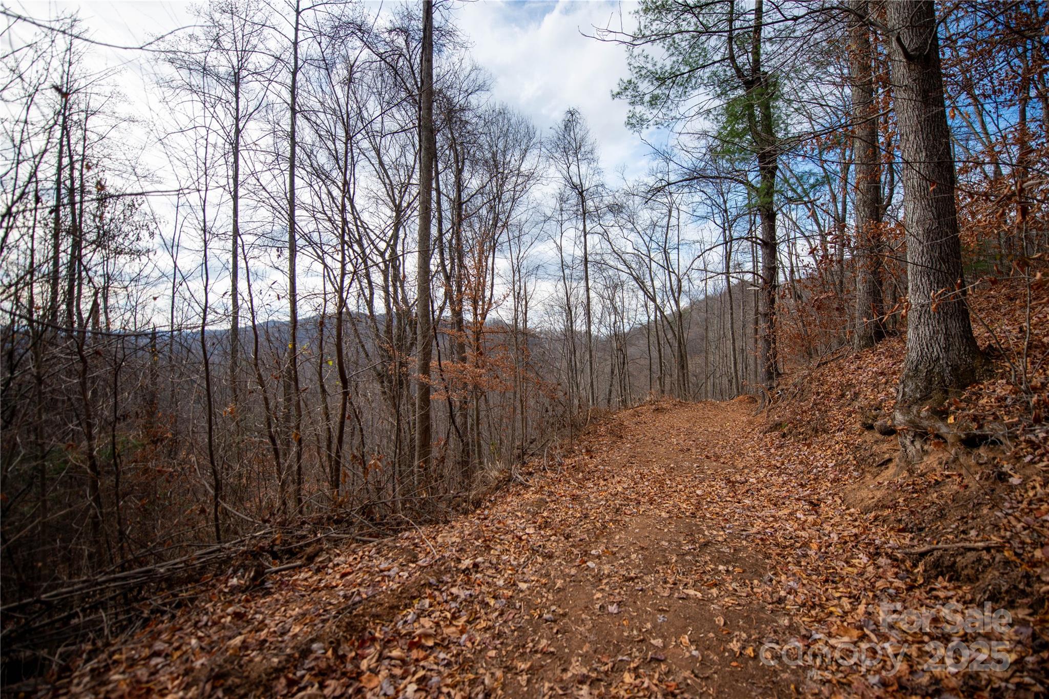 ### Grapevine Road Marshall NC 28753