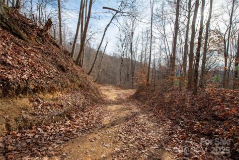 ### Grapevine Road Marshall NC 28753