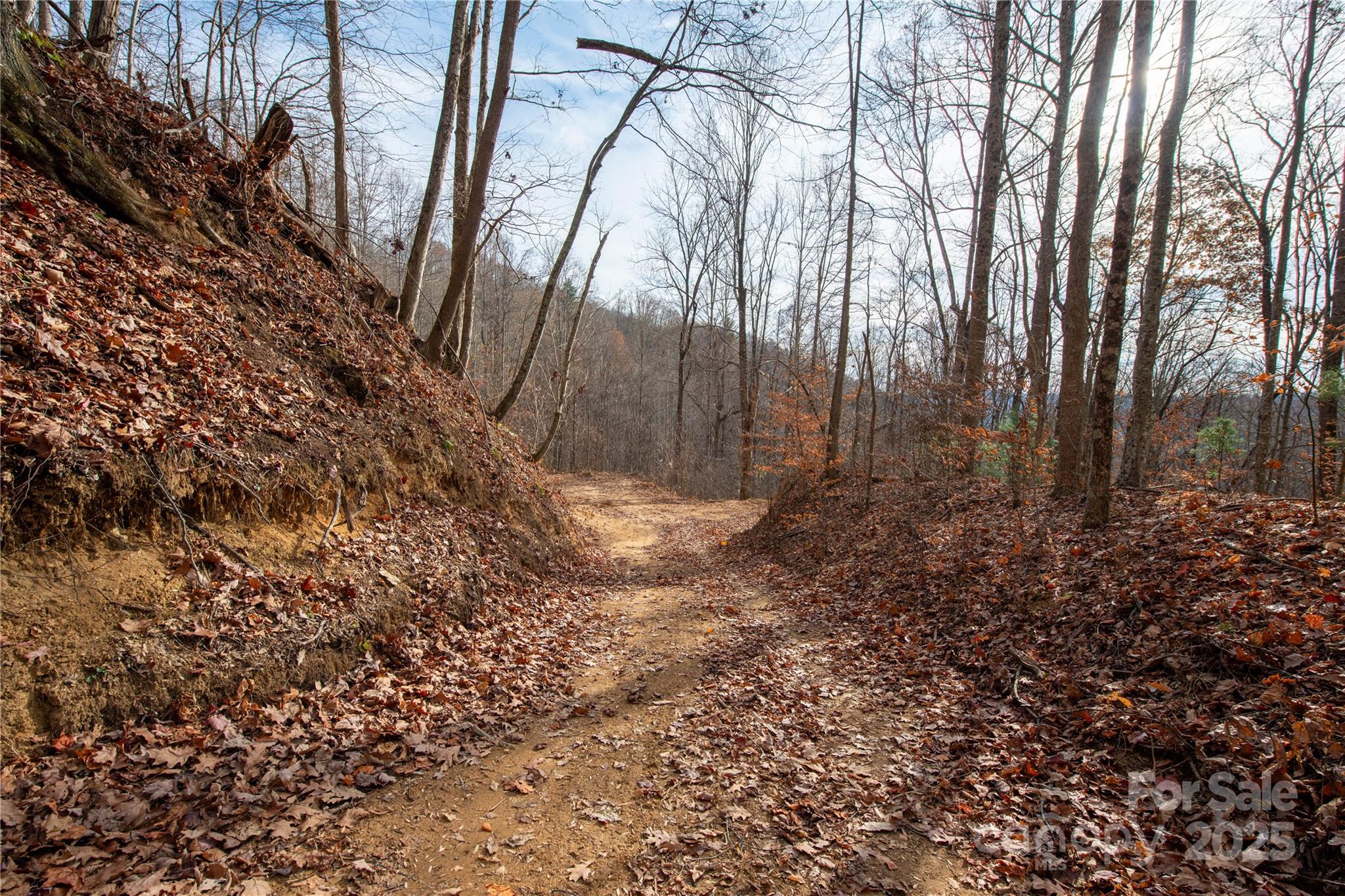 ### Grapevine Road Marshall NC 28753