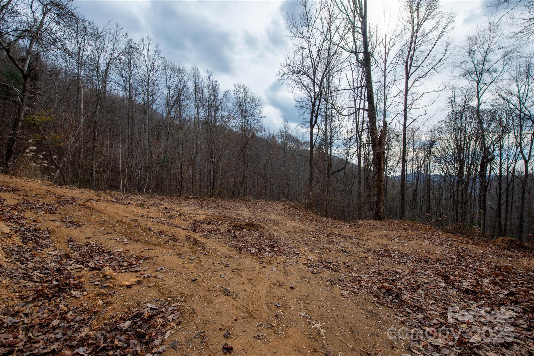 ### Grapevine Road Marshall NC 28753