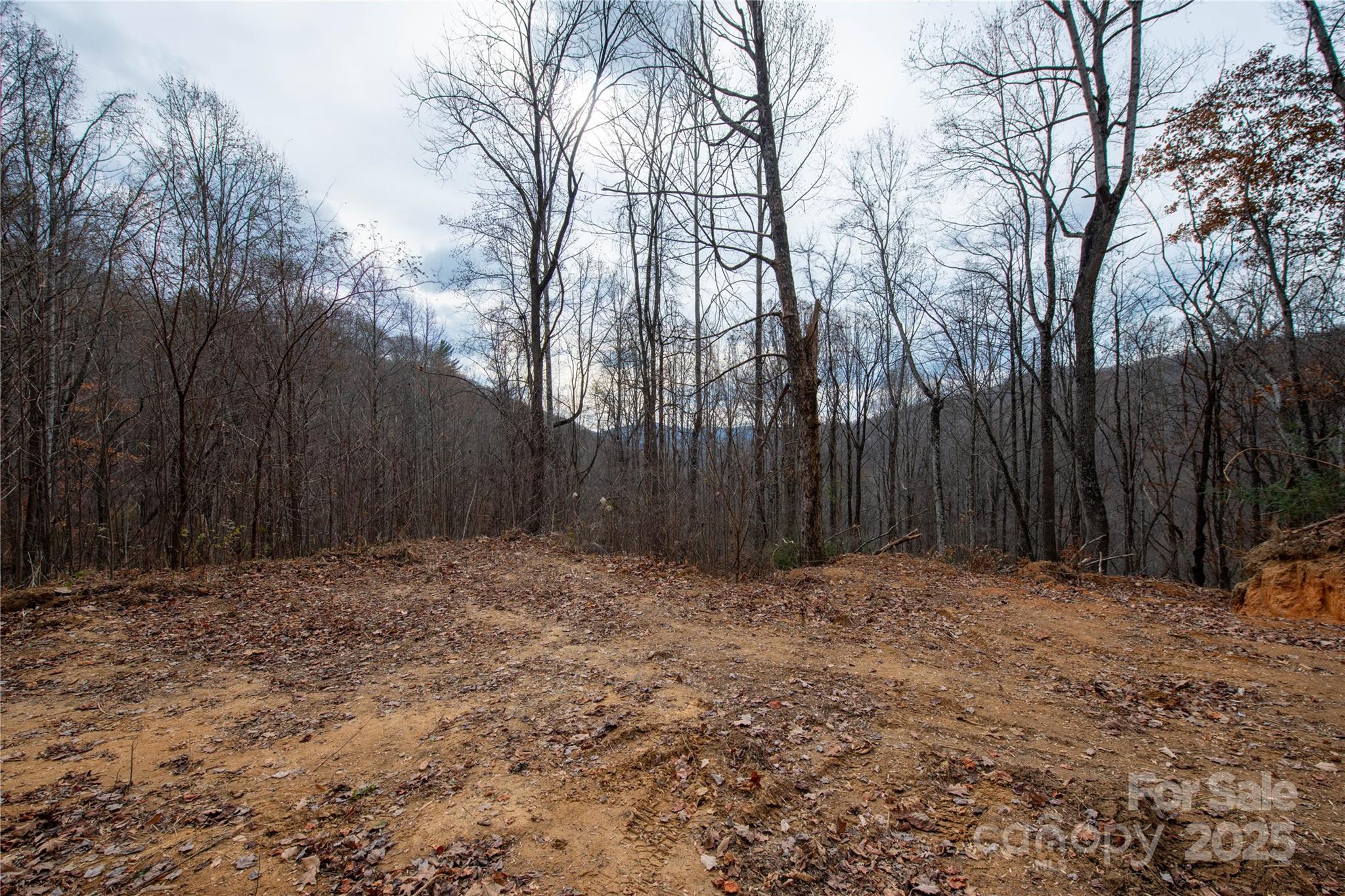 ### Grapevine Road Marshall NC 28753