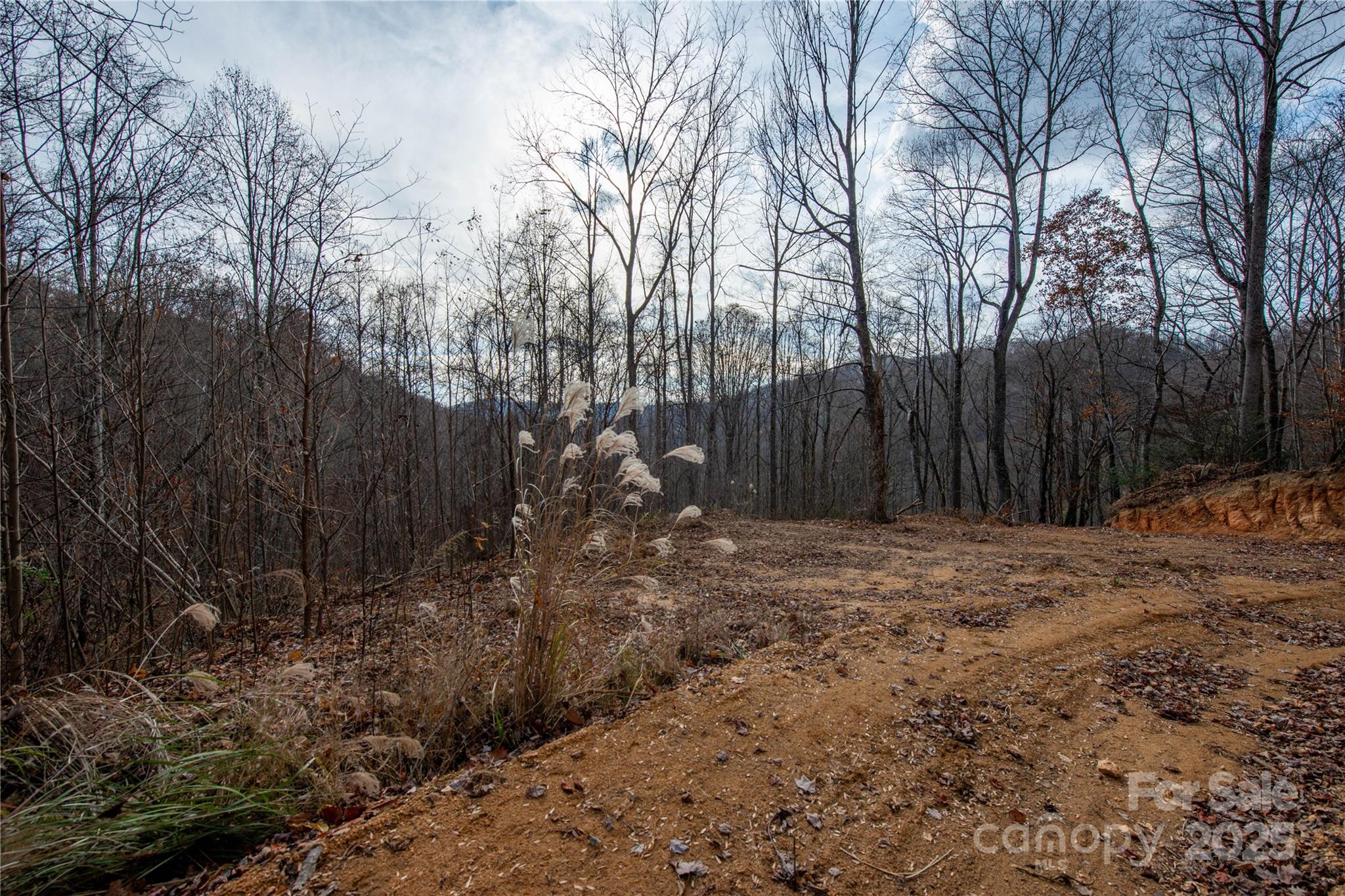 ### Grapevine Road Marshall NC 28753