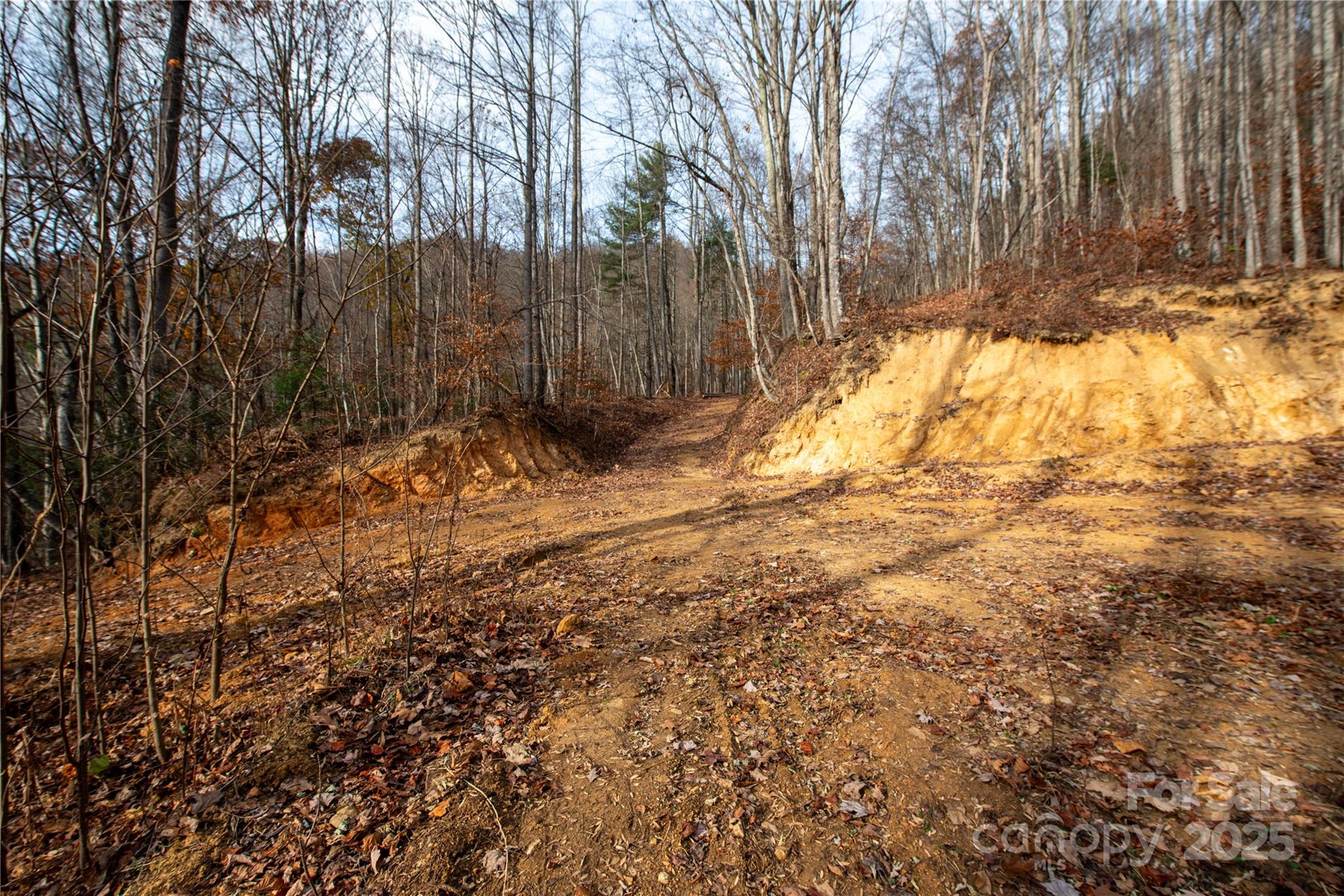 ### Grapevine Road Marshall NC 28753
