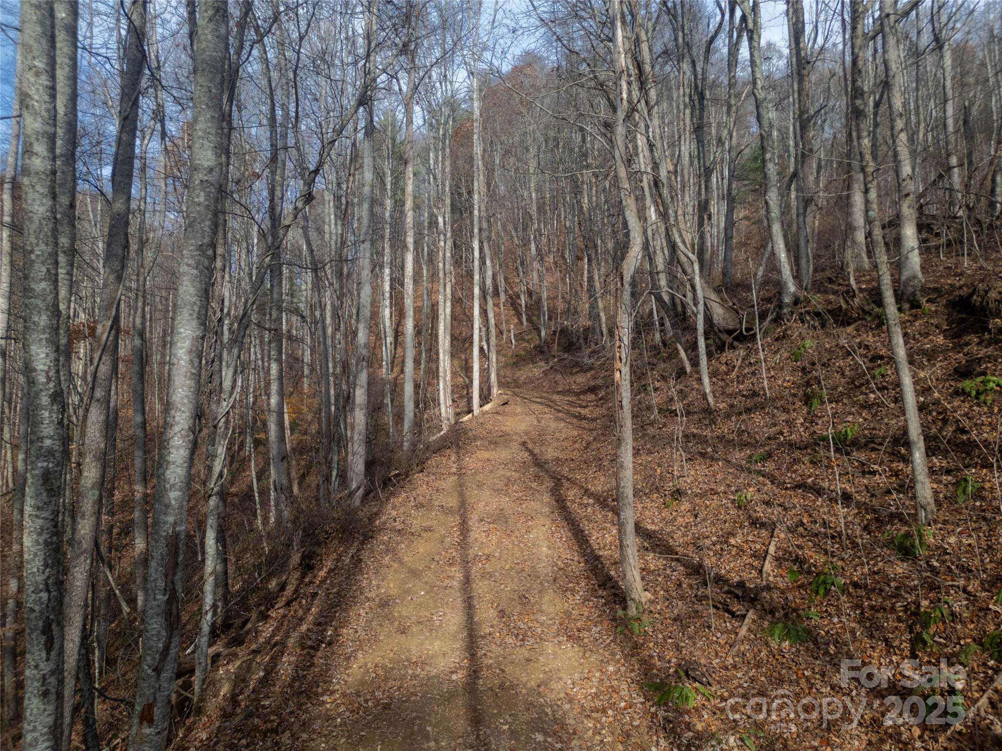 ### Grapevine Road Marshall NC 28753