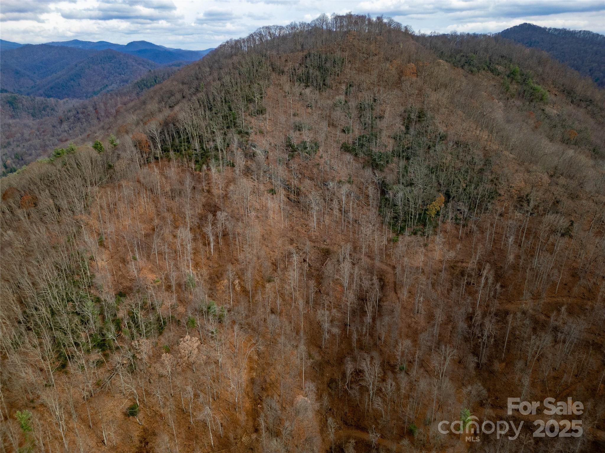 ### Grapevine Road Marshall NC 28753