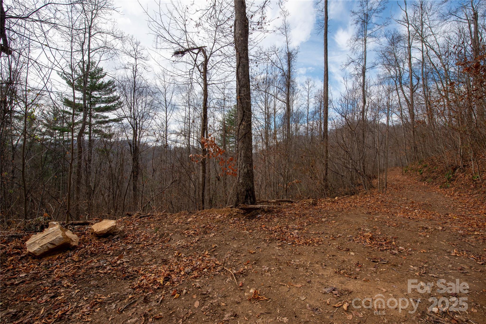 ### Grapevine Road Marshall NC 28753