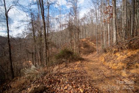 ### Grapevine Road Marshall NC 28753
