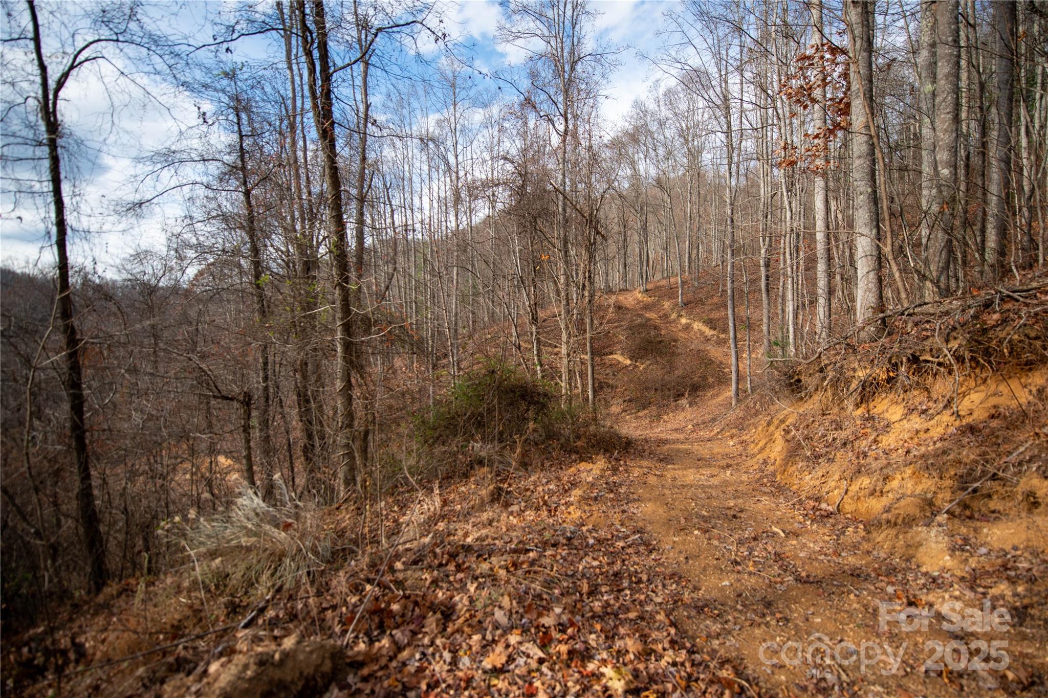 ### Grapevine Road Marshall NC 28753