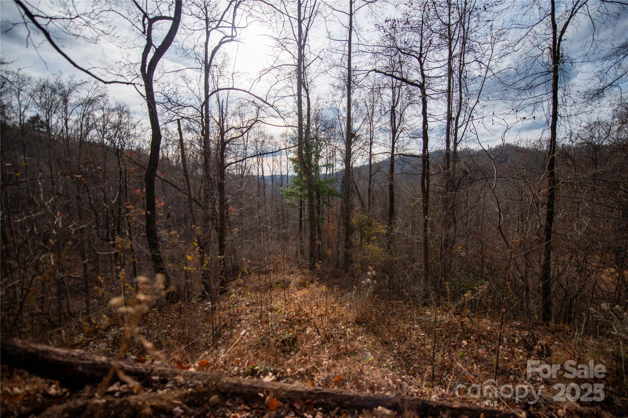 ### Grapevine Road Marshall NC 28753