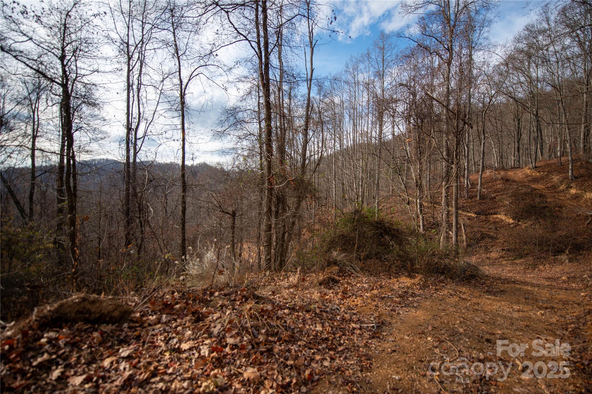 ### Grapevine Road Marshall NC 28753