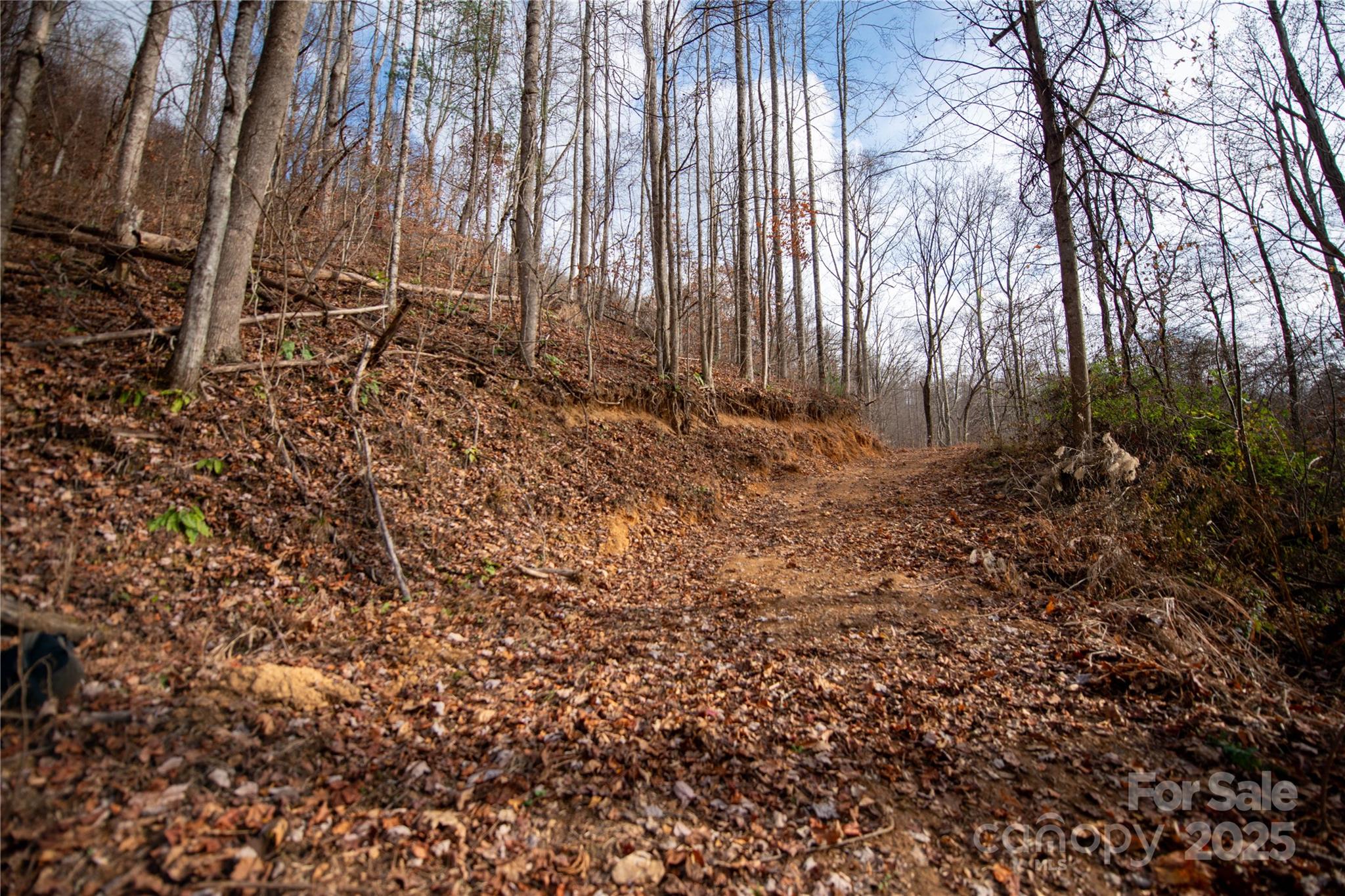 ### Grapevine Road Marshall NC 28753