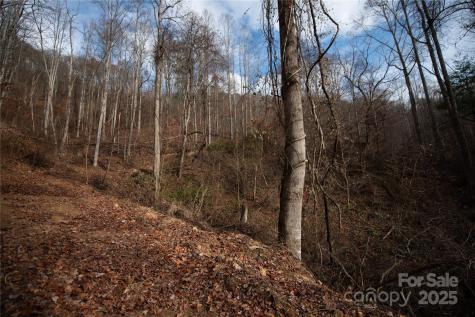 ### Grapevine Road Marshall NC 28753