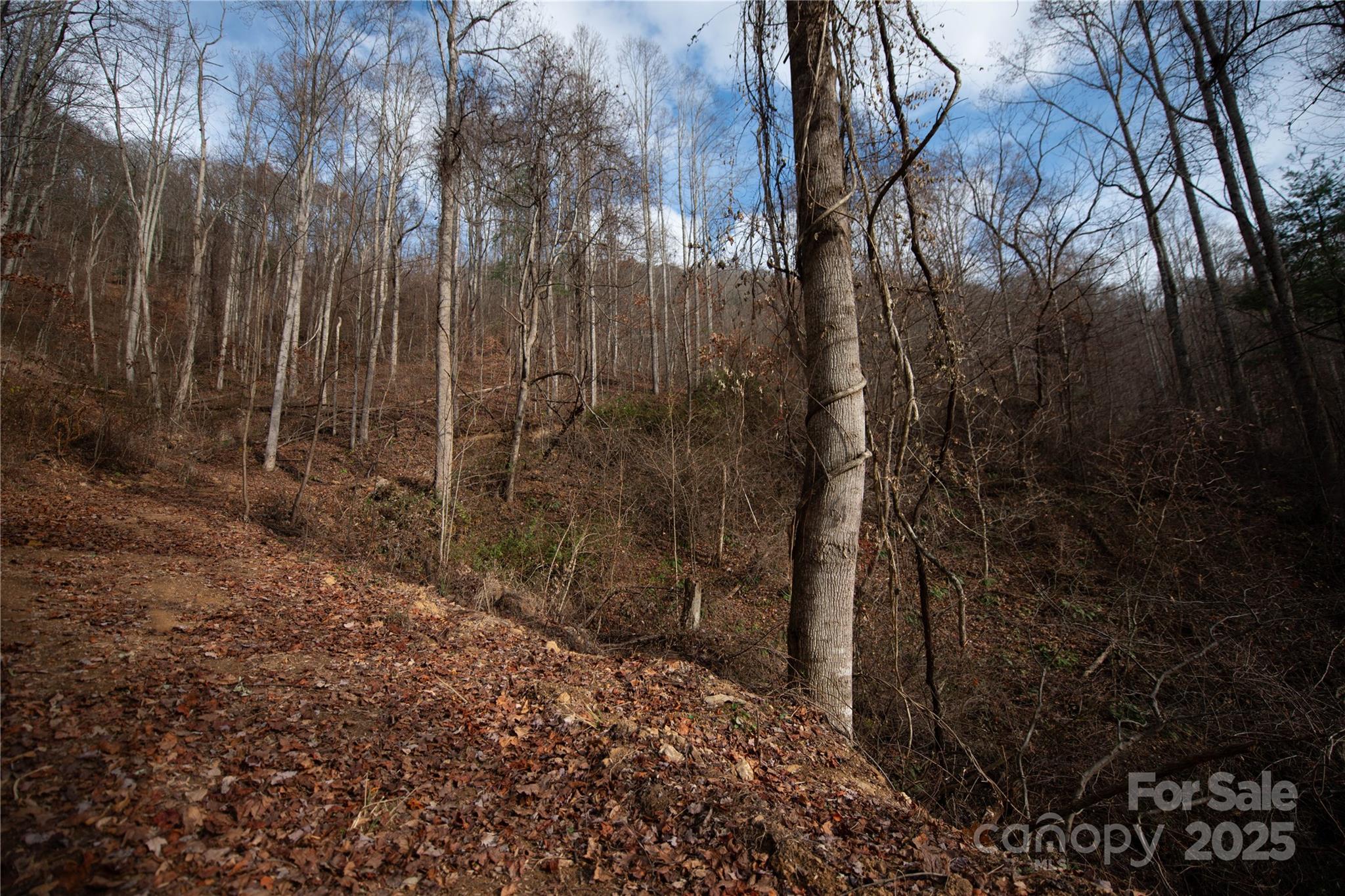 ### Grapevine Road Marshall NC 28753