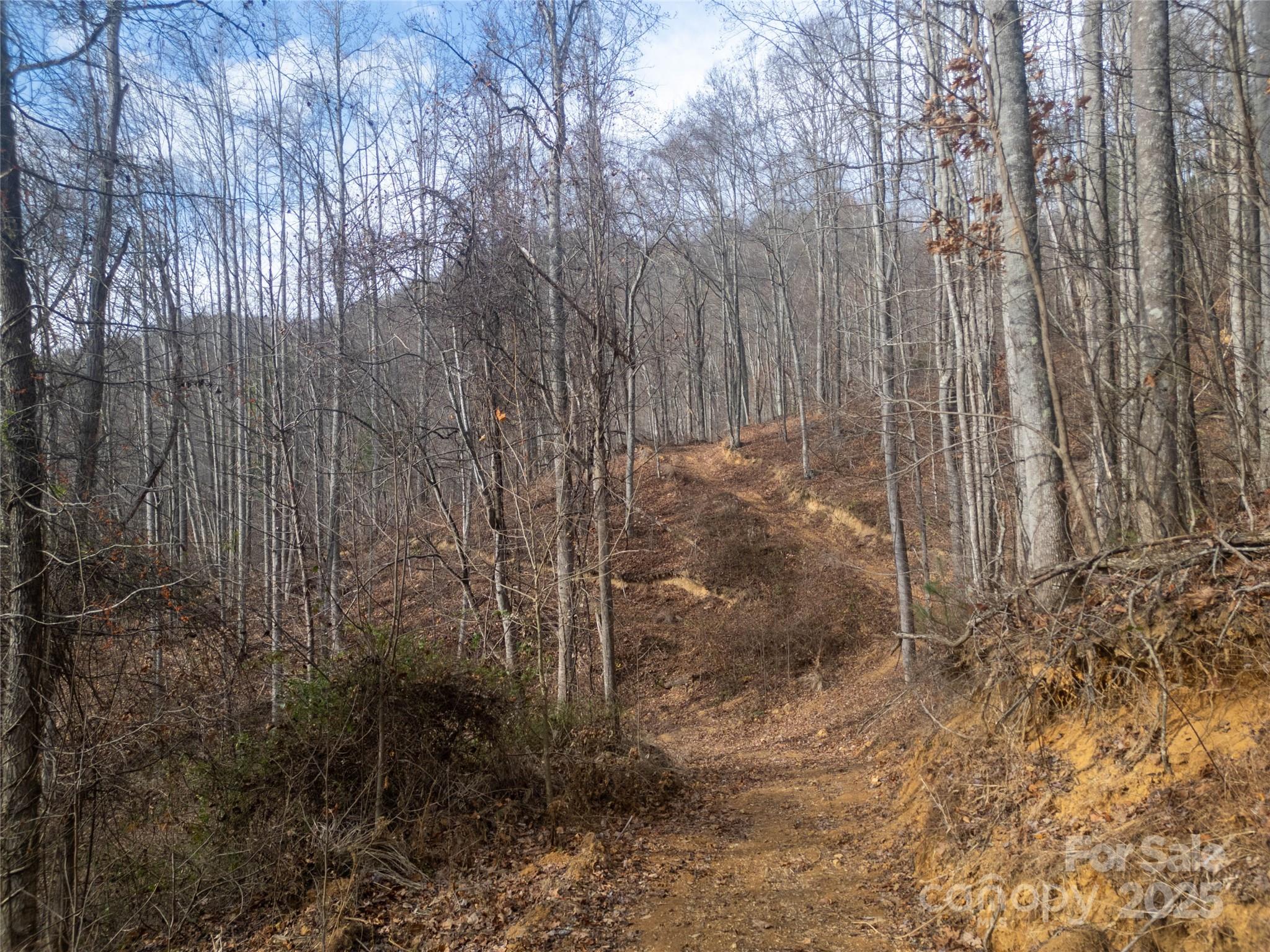 ### Grapevine Road Marshall NC 28753