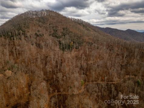 ### Grapevine Road Marshall NC 28753