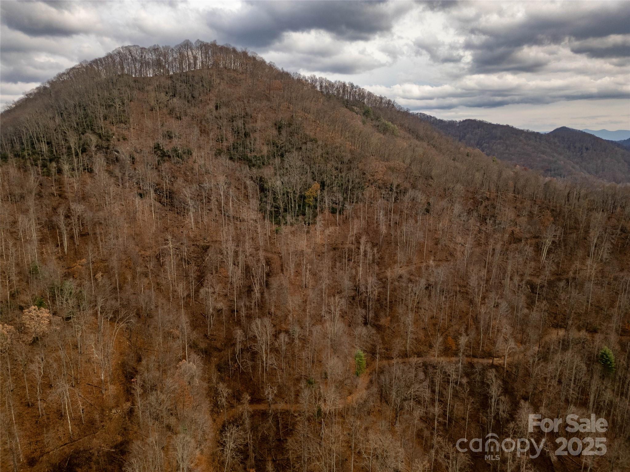 ### Grapevine Road Marshall NC 28753