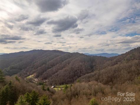 ### Grapevine Road Marshall NC 28753