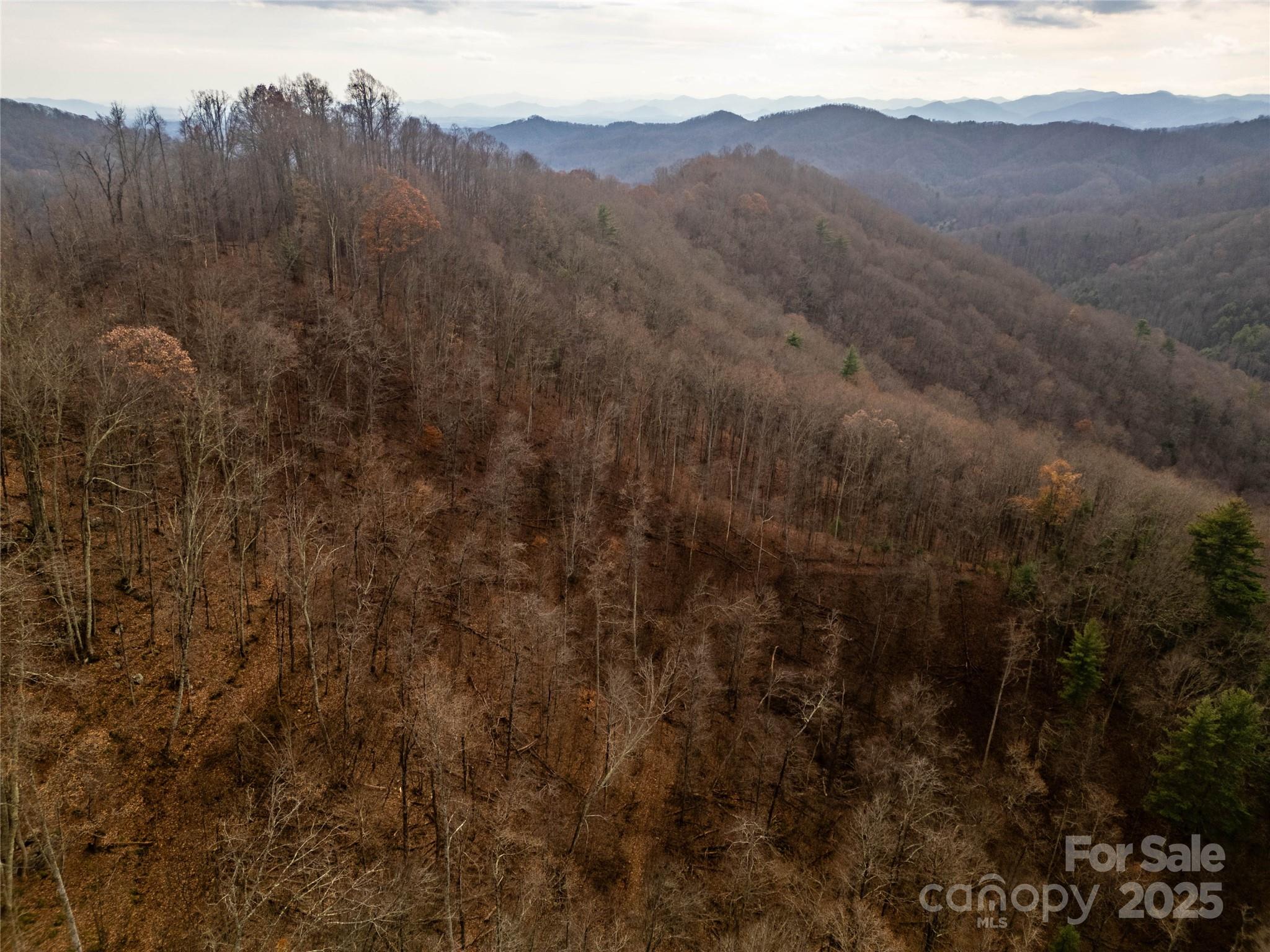 ### Grapevine Road Marshall NC 28753