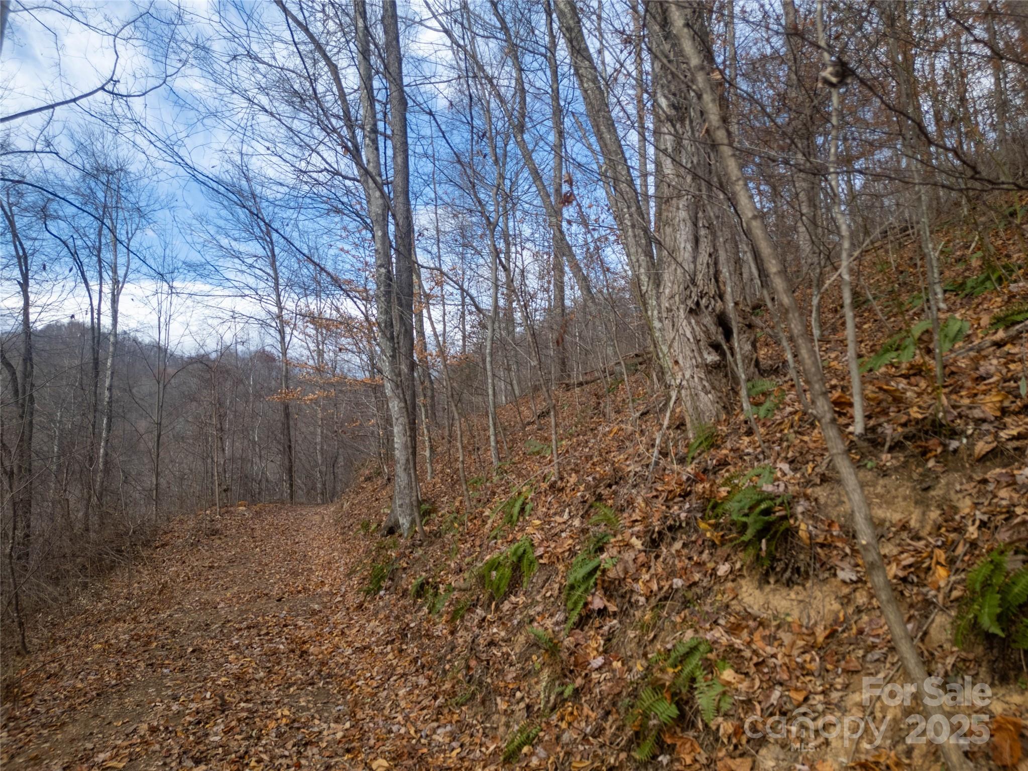 ### Grapevine Road Marshall NC 28753