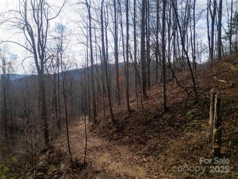 ### Grapevine Road Marshall NC 28753