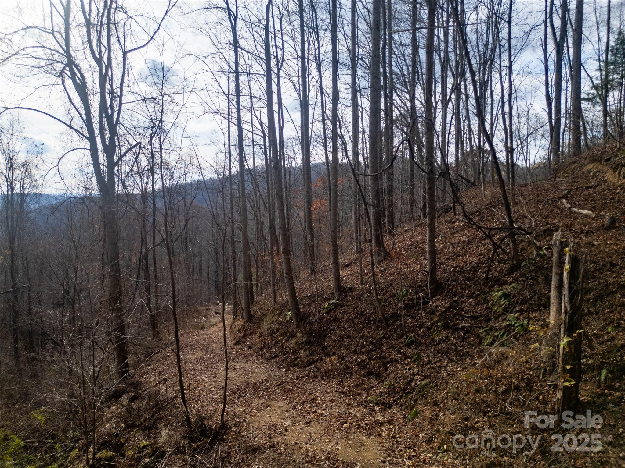 ### Grapevine Road Marshall NC 28753