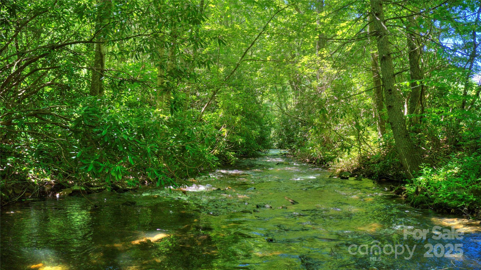 000 Golden Trout Drive Spruce Pine NC 28777