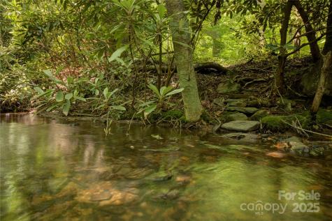 000 Golden Trout Drive Spruce Pine NC 28777