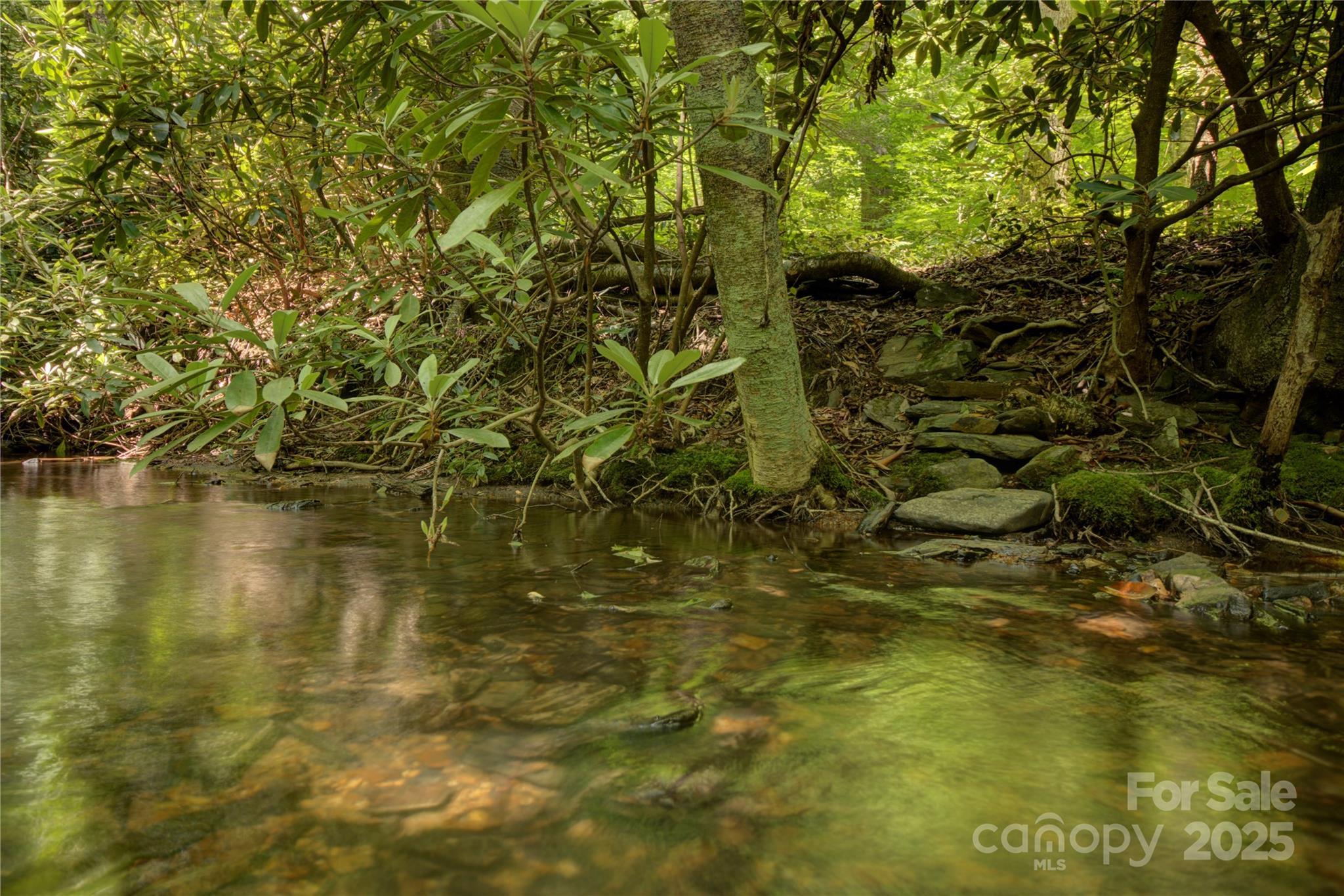 000 Golden Trout Drive Spruce Pine NC 28777
