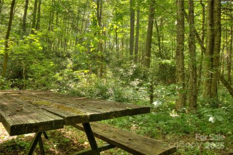 000 Golden Trout Drive Spruce Pine NC 28777