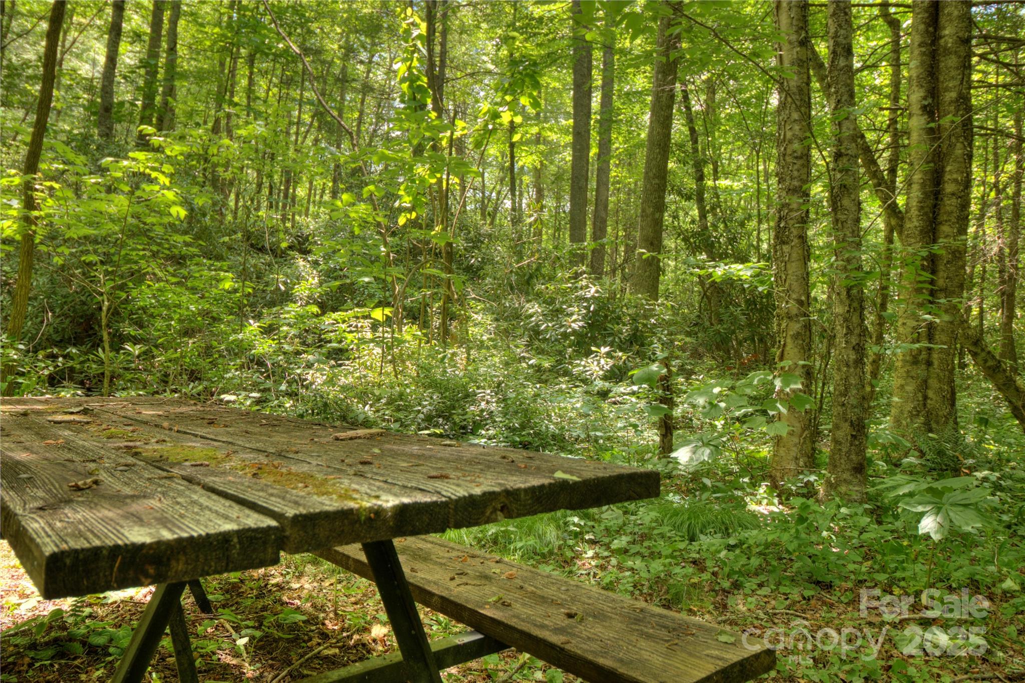 000 Golden Trout Drive Spruce Pine NC 28777