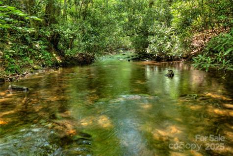 000 Golden Trout Drive Spruce Pine NC 28777