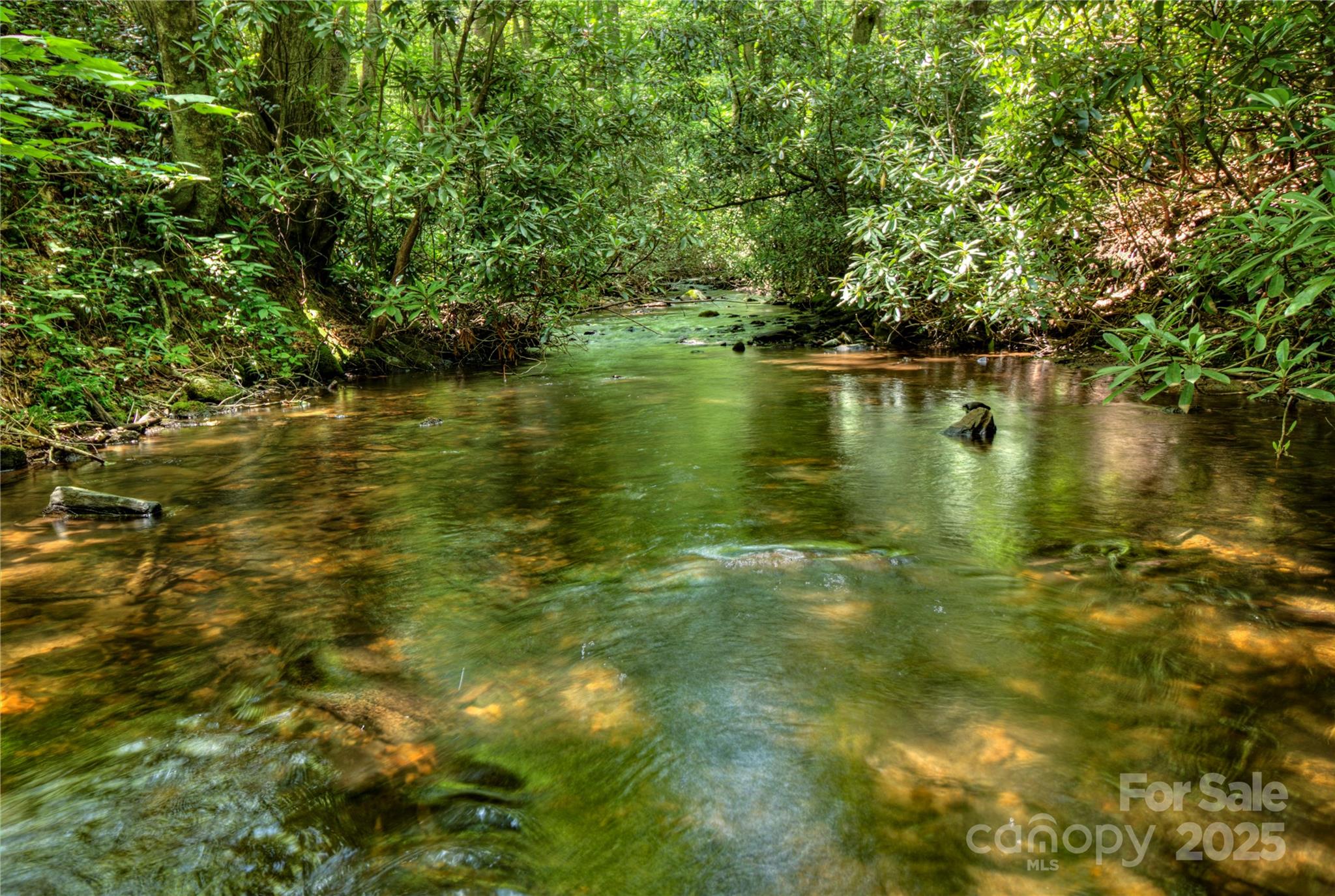 000 Golden Trout Drive Spruce Pine NC 28777