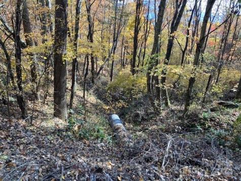 00 Wahwah Way Waynesville NC 28785