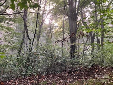 00 Wahwah Way Waynesville NC 28785