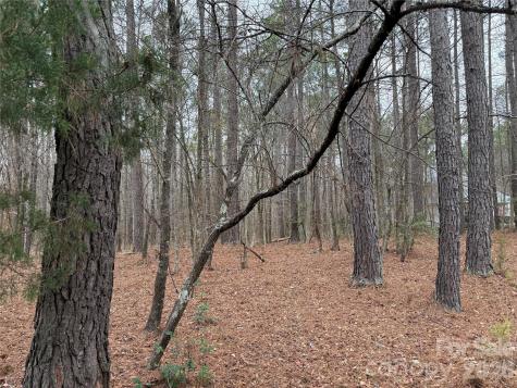 6191 Chimney Bluff Road Lancaster SC 29720