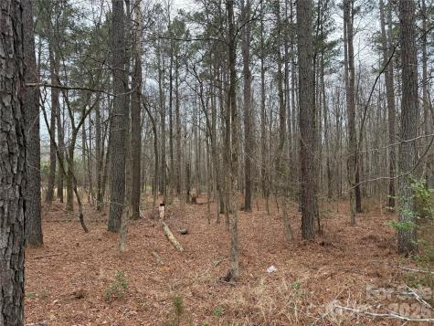 6191 Chimney Bluff Road Lancaster SC 29720
