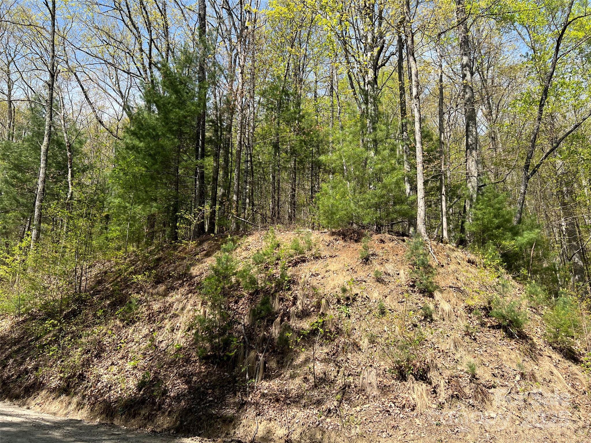 00 Hidden Trail Franklin NC 28734